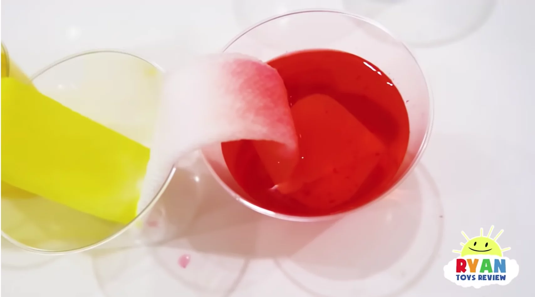 Science experiments for kids Science experiments for kids