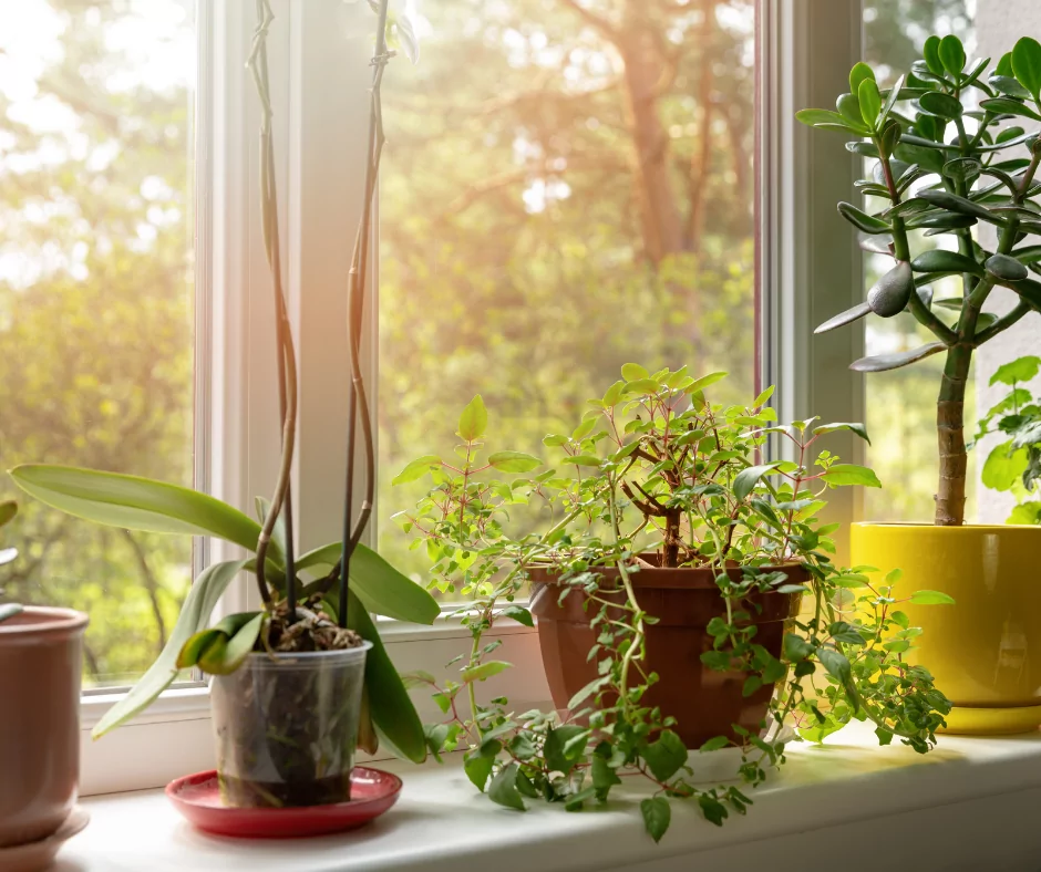 Father's Day Activities