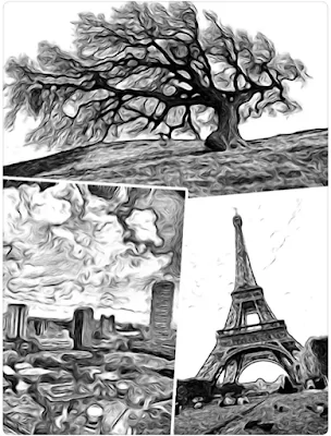 ToonCamera ToonCamera